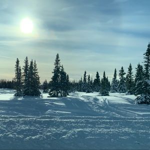 Meet your Posher, Tegan